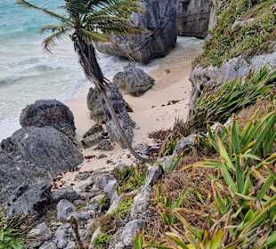 Stadtrundgang Playa del Carmen / Playacar