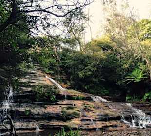 Blue Mountains National Park
