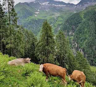Wandern Bramberg am Wildkogel
