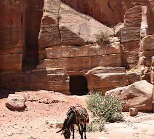 Spacer po Mieście Wykutym w Skale - Petra