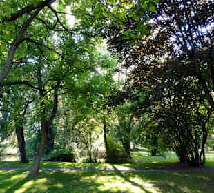Spaziergang durch den Klosterpark Weende