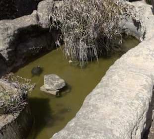 Malta Falconry Centre