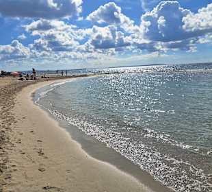 Naturschutzgebiet Ses Salines