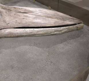 Staatliches Naturkunde Museum