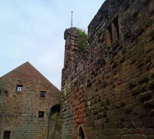 Burg Wilenstein in Trippstadt
