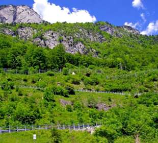 Plöckenpass 2010 die ganze Strecke