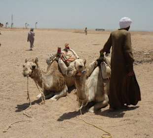 Kamelreiten beim Quadfahren durch die Wüste