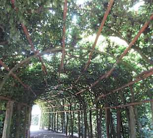 Sanssouci Schloss-/Schlossgartenimpression