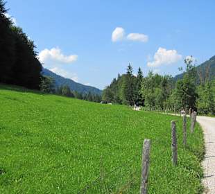 Weg um den See