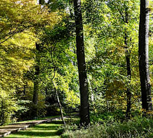 Herbstspaziergang durch den Bürgerpark Bremen