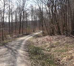 Geologischer Lehrpfad Kirnbachtal