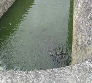  Schloss Villandry