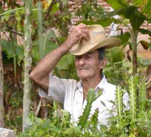 Freundlicher Nachbar