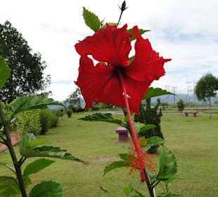 Ausflug Wildfife Expeditions- Rastplatz