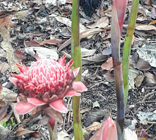 Botanischer Garten