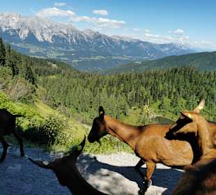 Wandern Bad Hofgastein
