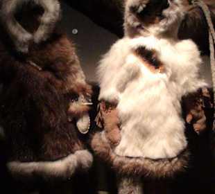 Kluane Museum of Natural History