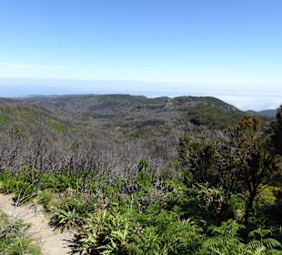 Weg zum Gipfel, Aussicht