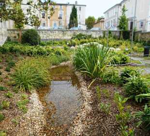 Jérôme Cuzin Centre