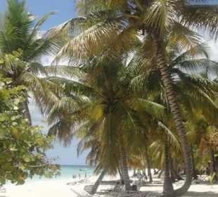 Blick in die Karibik