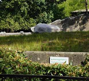Tierpark Hagenbeck