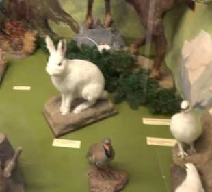 Heimatmuseum Oberstdorf