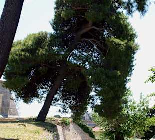 Хорватия,пула,венецианская крепость (1).jpg