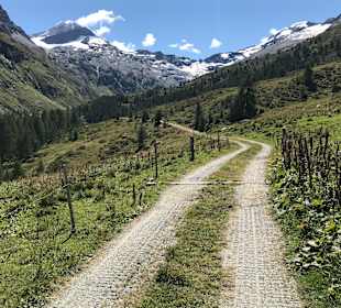Wandern Sils im Engadin/Segl