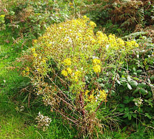 Cahergall Stone Fort