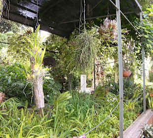 Jardín Botanico