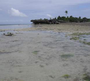 Zwischen Panagsama und White Beach