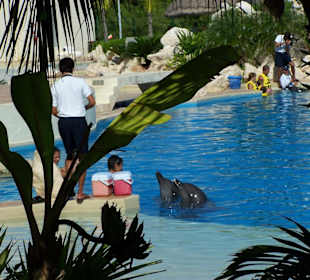 Dolphinaris Cancun