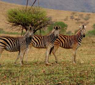 Sind wir nicht hübsch