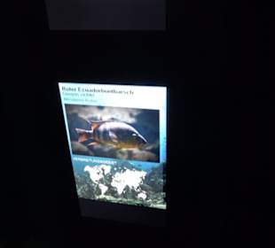 Tierpark Hellabrunn - Fische