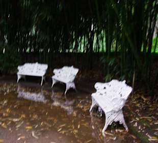 Steht wohl mehr im Wasser