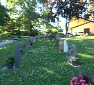 Friedhof Talheim