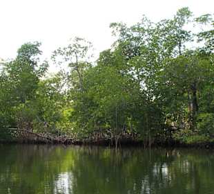 Nationalpark Los Haitises