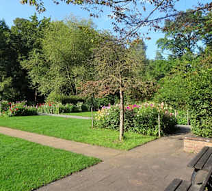 Eindrücke vom Rundgang durch den Stadtpark Fürth