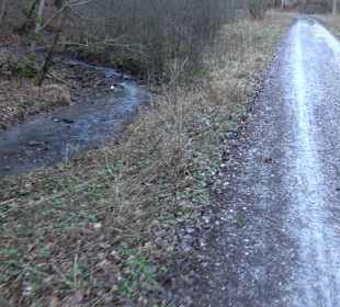 Ochsenweiher Rundweg