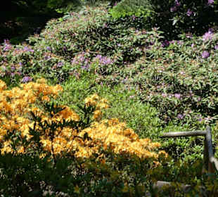 Eindrücke aus dem Rennsteiggarten