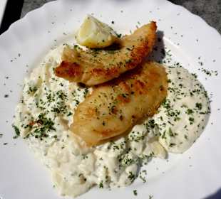 Rotbarsch in Bierteig mit Kartoffelsalat