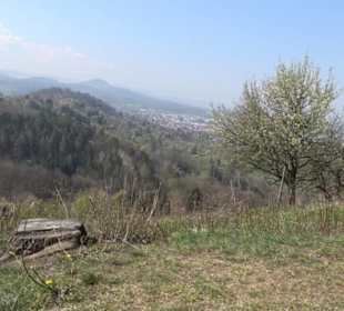 Wanderung Florianrunde