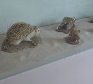 Museum Rosenburg