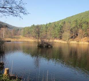 Der wunderschöne Sandwiesenweiher