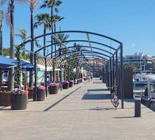 Stadtrundfahrt Alcudia