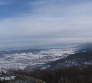 Widok z wieży. chojnik