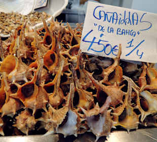 Mercado central, Cadiz