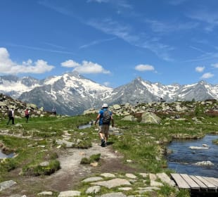 Ausblick