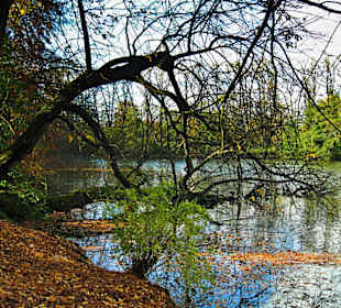 Парк Замка Ойтин.Золотая осень.