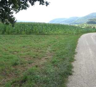 Hochgehnießen - Premiumspazierwanderweg